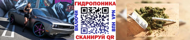 Купить закладку Жуковка КОКАИН  A PVP  ГАШ  Марихуана  МЕФ 