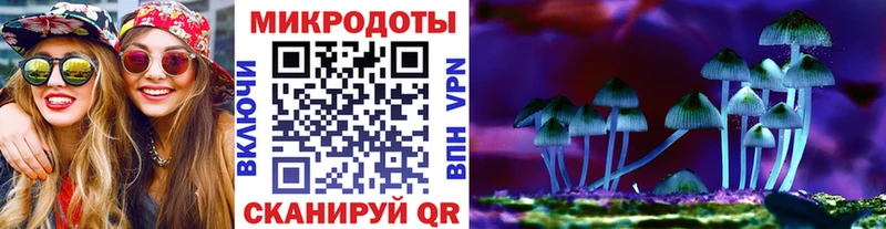 Псилоцибиновые грибы GOLDEN TEACHER Жуковка