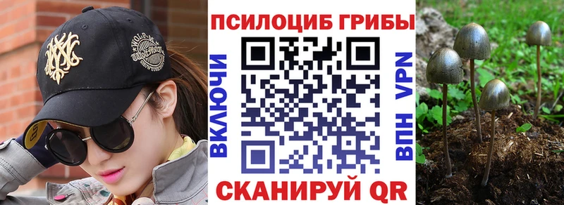 Псилоцибиновые грибы Cubensis закладки Жуковка